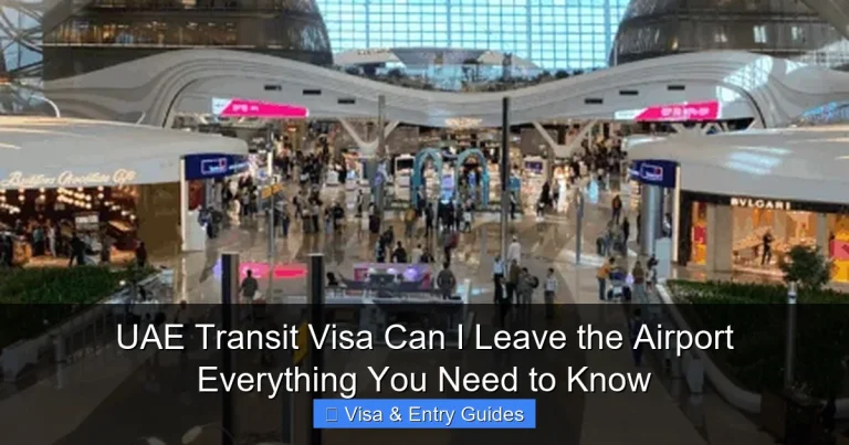 UAE Transit Visa Can I Leave the Airport Everything You Need to Know
