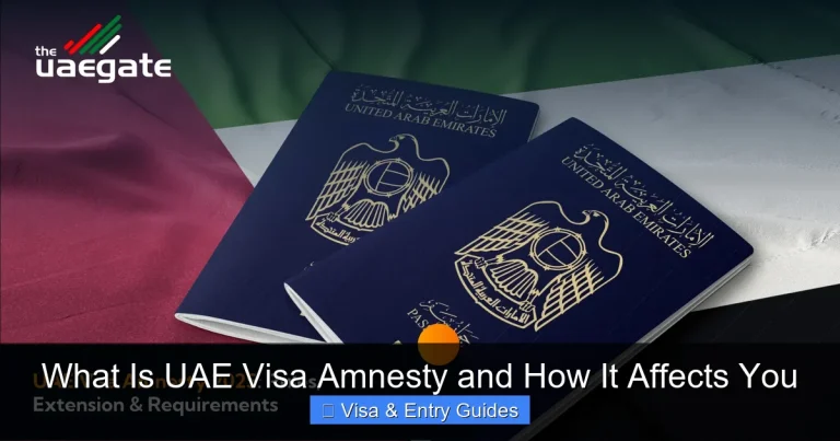 What Is UAE Visa Amnesty and How It Affects You