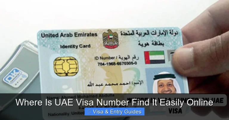 Where Is UAE Visa Number Find It Easily Online