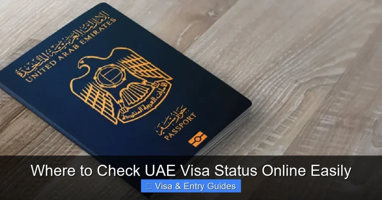 Where to Check UAE Visa Status Online Easily