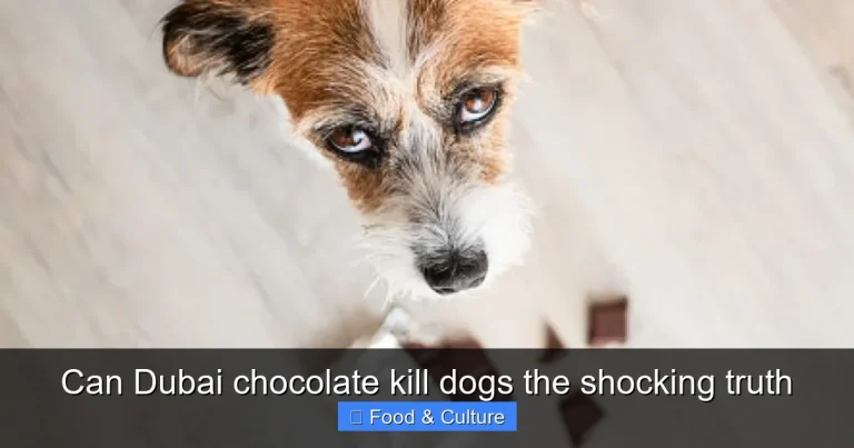 Can Dubai chocolate kill dogs the shocking truth