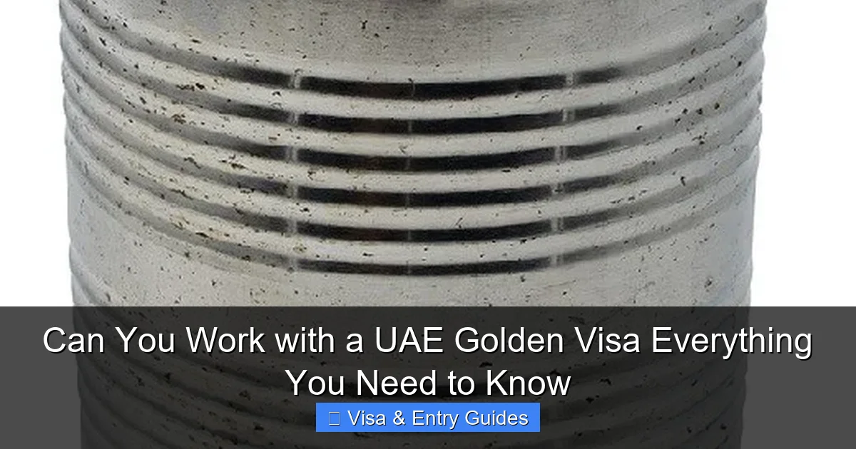 Can You Work with a UAE Golden Visa Everything You Need to Know
