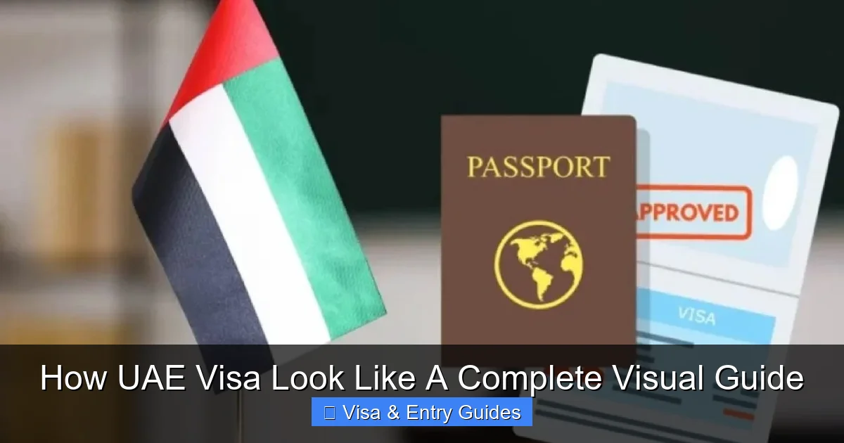 How UAE Visa Look Like A Complete Visual Guide