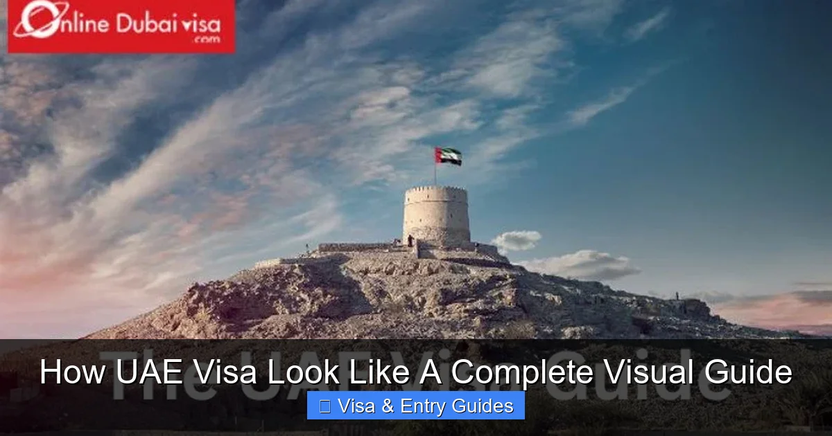 How UAE Visa Look Like A Complete Visual Guide