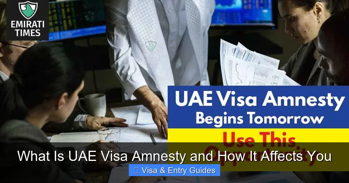 What Is UAE Visa Amnesty and How It Affects You