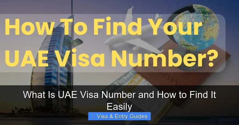 What Is UAE Visa Number and How to Find It Easily What Is UAE Visa Number and How to Find It Easily