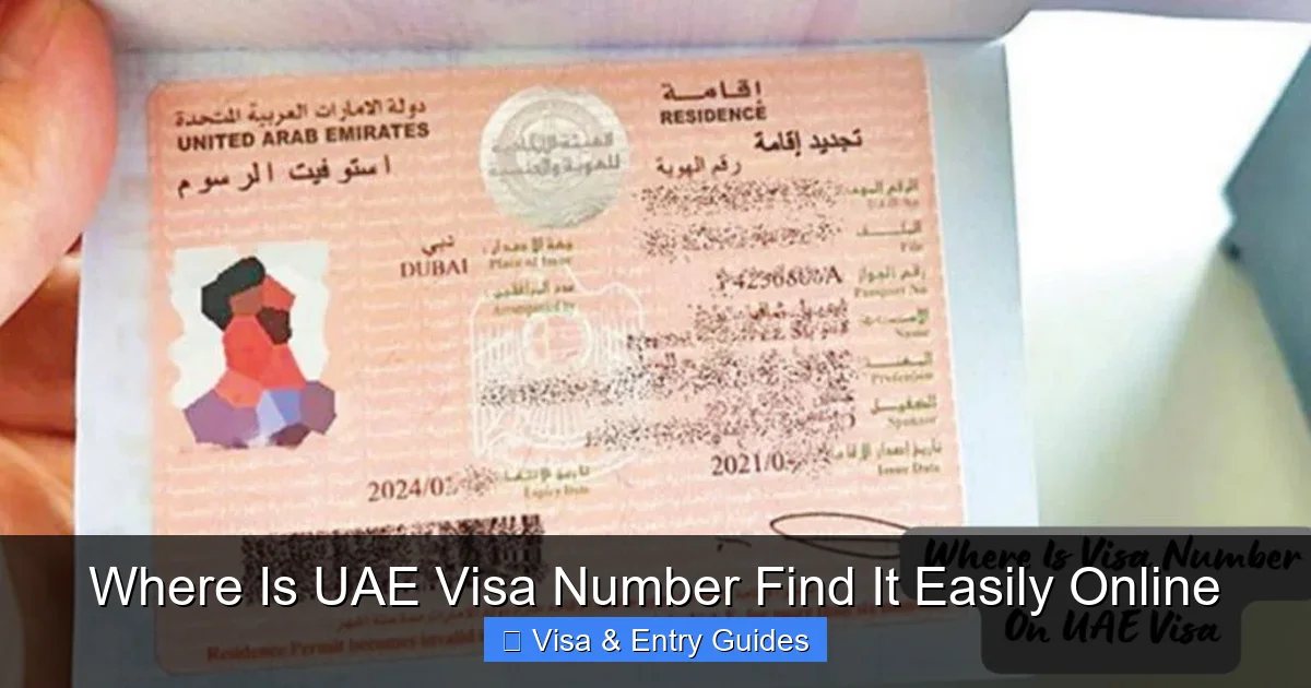 Where Is UAE Visa Number Find It Easily Online