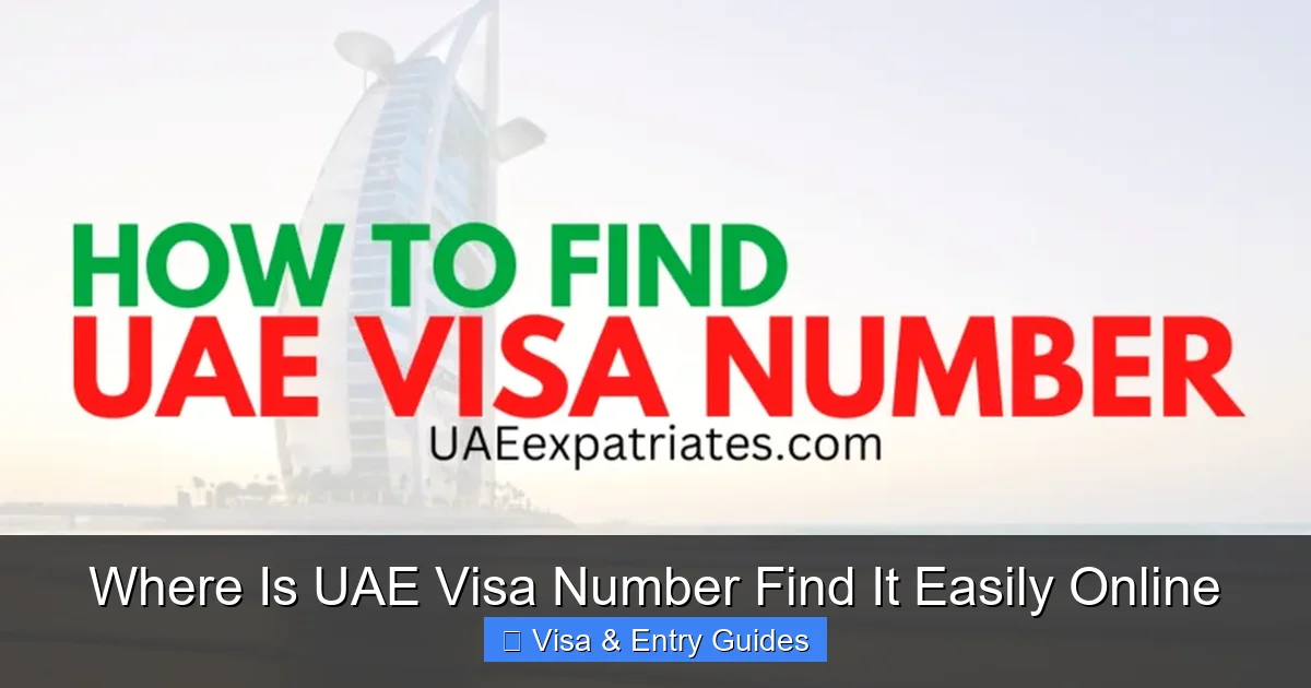 Where Is UAE Visa Number Find It Easily Online