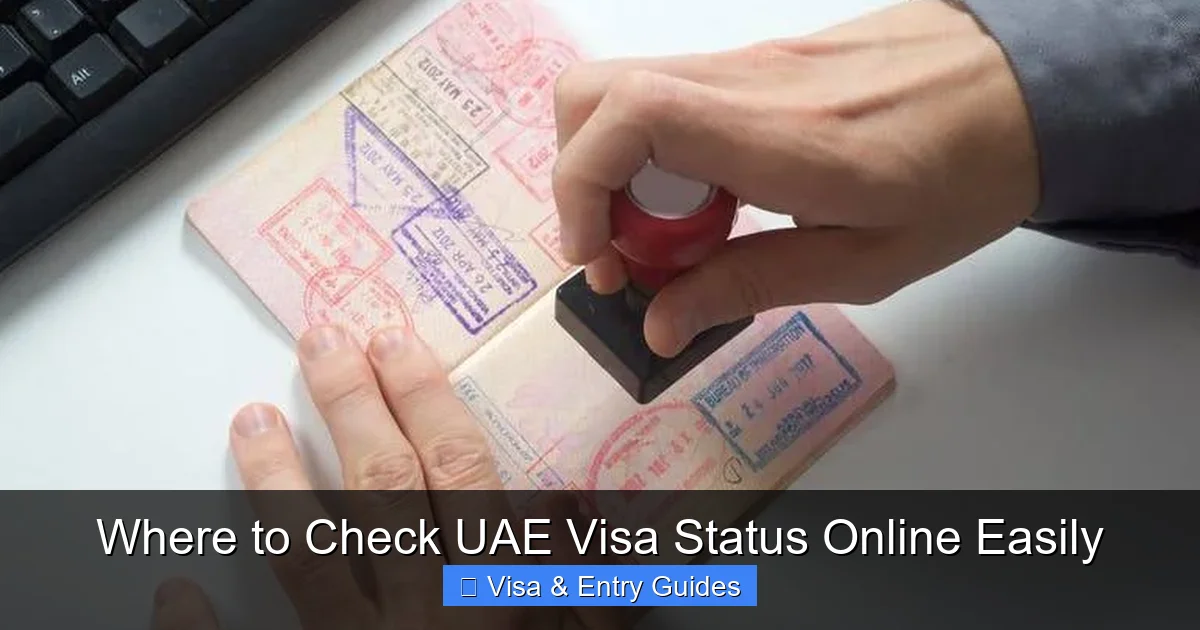 Where to Check UAE Visa Status Online Easily