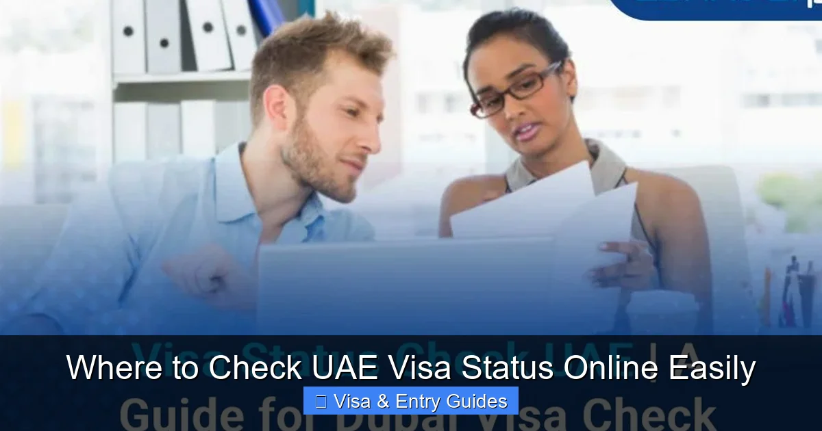 Where to Check UAE Visa Status Online Easily
