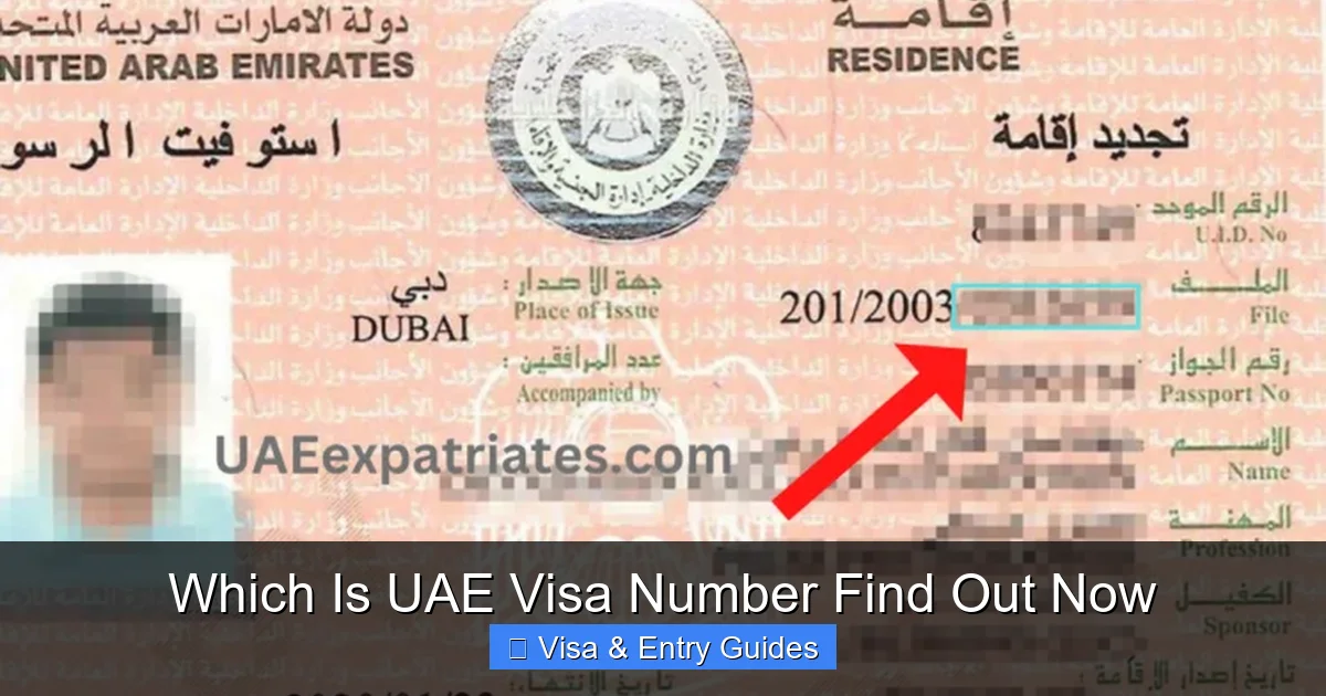 Which Is UAE Visa Number Find Out Now