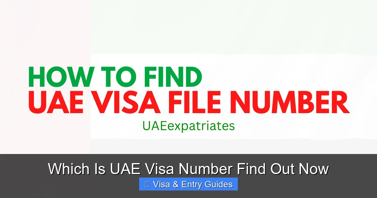 Which Is UAE Visa Number Find Out Now