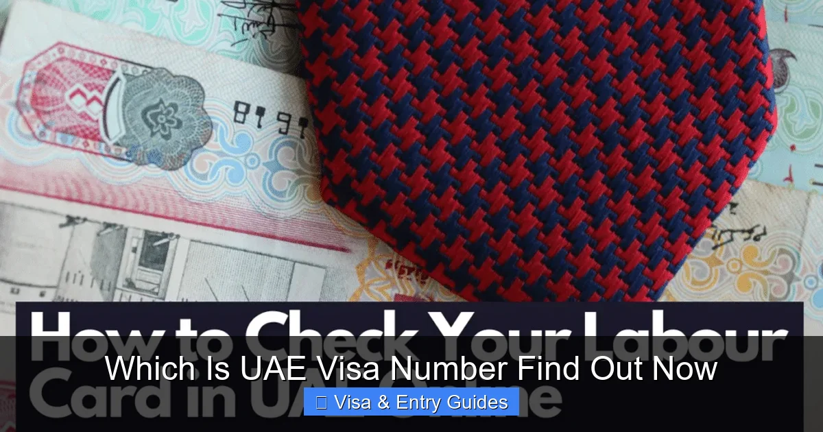 Which Is UAE Visa Number Find Out Now